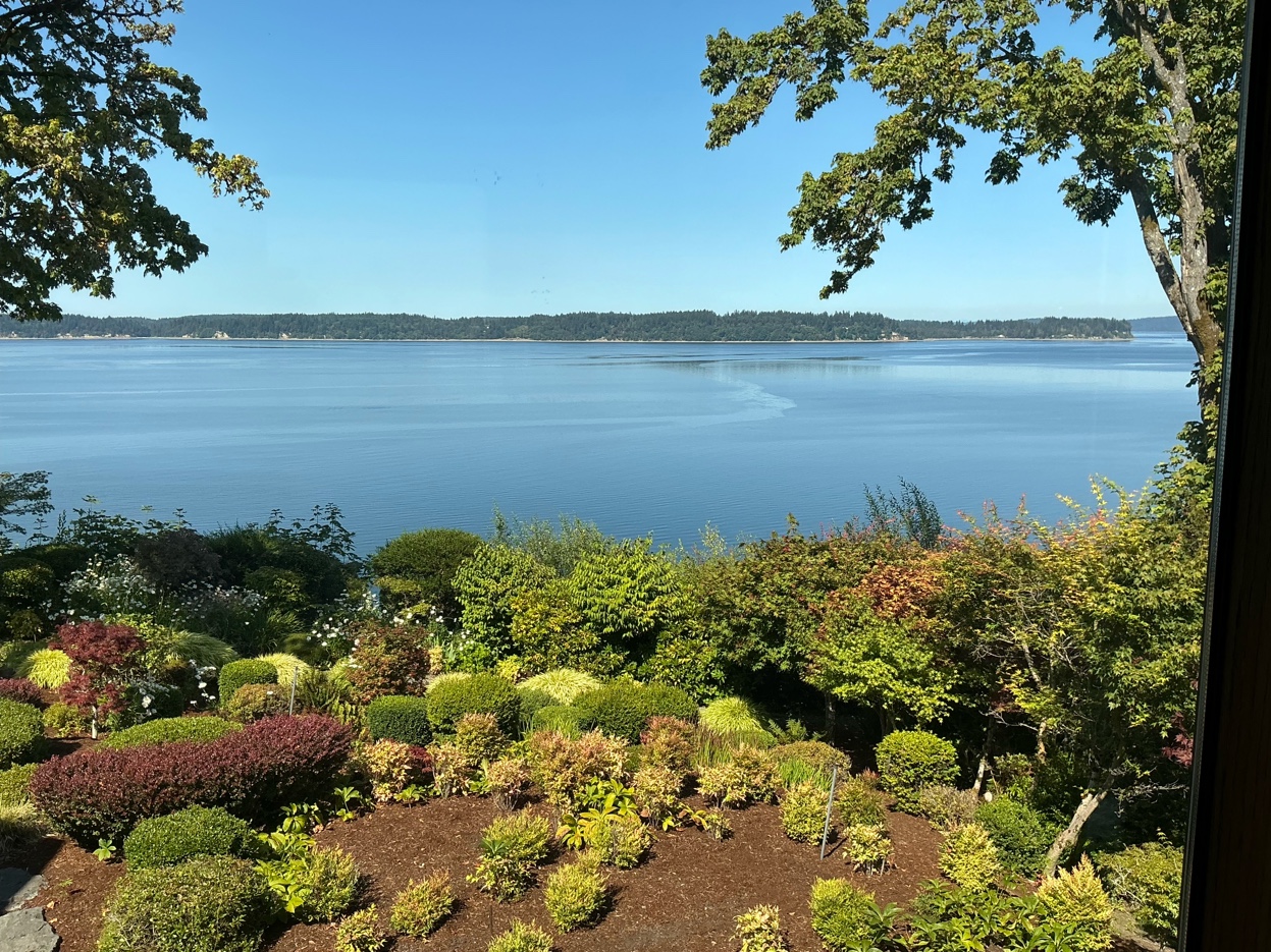 Puget Sound waterfront — Olympic Tree Service WA