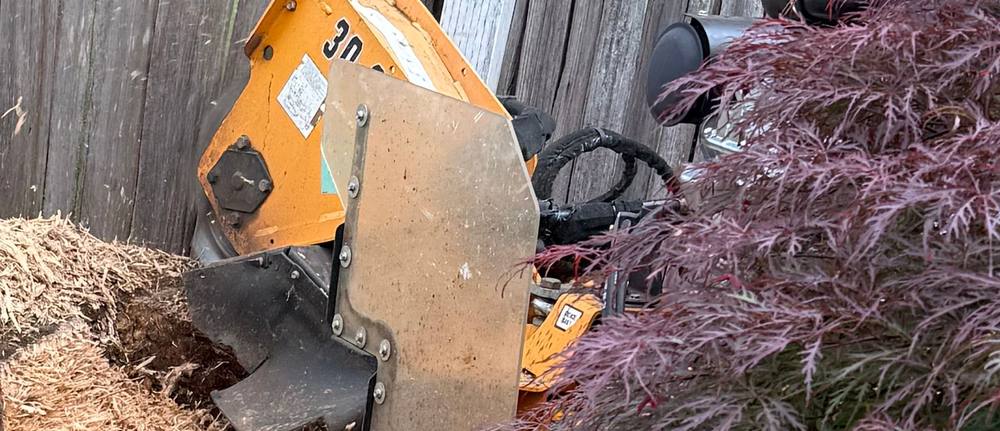 Close-up of the Barreto 30SG stump grinder cutting wheel grinding a stump below grade